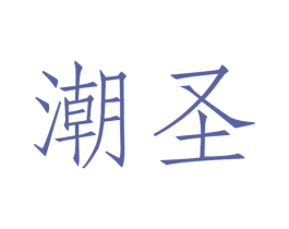 潮圣 第27类地毯席垫商标图样
