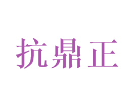 抗鼎正 第10类医疗器械商标图样