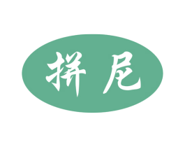 拼尼 第9类科学仪器商标图样