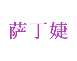 萨丁婕 第25类服装鞋帽商标图样