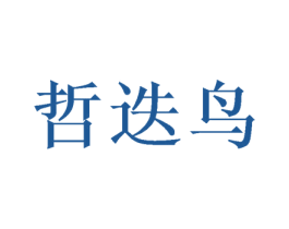 哲迭鸟 第25类服装鞋帽商标图样