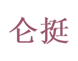 仑挺 第24类布料床单商标图样