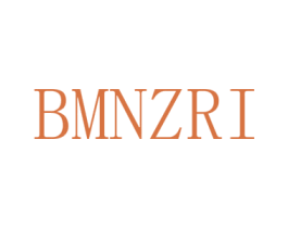 BMNZRI 第25类服装鞋帽商标图样