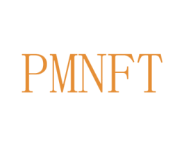 PMNFT 第25类服装鞋帽商标图样