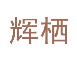 辉栖 第25类服装鞋帽商标图样