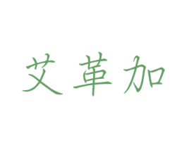艾革加 第25类服装鞋帽商标图样