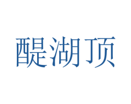 醍湖顶 第25类服装鞋帽商标图样