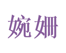 婉姍 第9类科学仪器商标图样