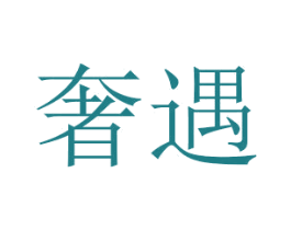 奢遇 第26类花边配饰商标图样