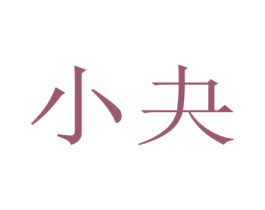 小夬 第27类地毯席垫商标图样