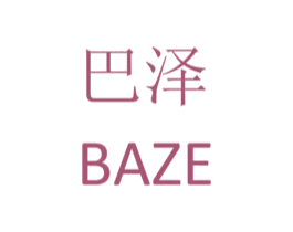 巴泽 第9类科学仪器商标图样