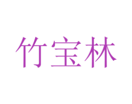 竹宝林 第28类体育玩具商标图样