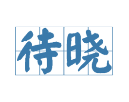 待晓 第25类服装鞋帽商标图样