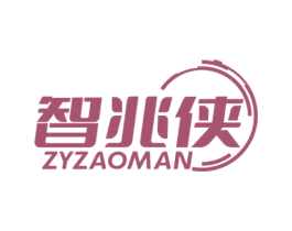 智兆侠 ZYZAOMAN 第9类科学仪器商标图样