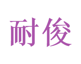 耐俊 第10类医疗器械商标图样