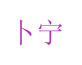 卜宁 第9类科学仪器商标图样