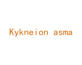 KYKNEION ASMA 第25类服装鞋帽商标图样