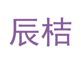 辰桔 第25类服装鞋帽商标图样