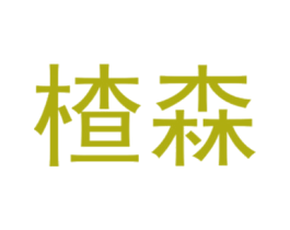 楂森 第25类服装鞋帽商标图样