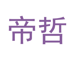 帝哲 第27类地毯席垫商标图样