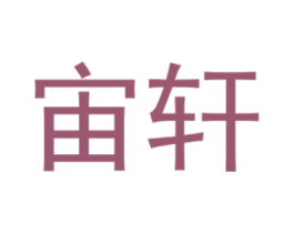 宙轩 第25类服装鞋帽商标图样