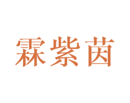 霖紫茵 第16类办公工具商标图样