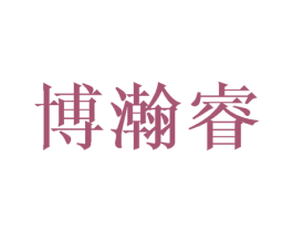 博瀚睿 第16类办公工具商标图样