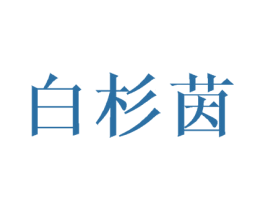 白杉茵 第16类办公工具商标图样