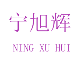 宁旭辉 第16类办公工具商标图样