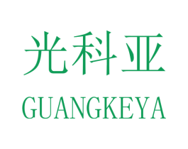 光科亚 第16类办公工具商标图样