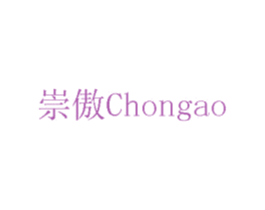 崇傲 第12类运输工具商标图样