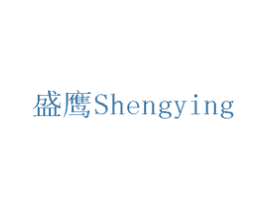 盛鹰 第22类绳网袋篷商标图样