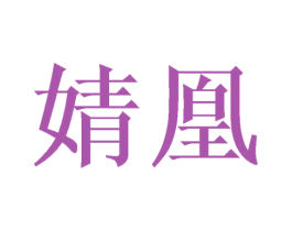 婧凰 第18类皮革箱包商标图样