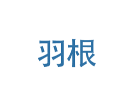 羽根 第25类服装鞋帽商标图样