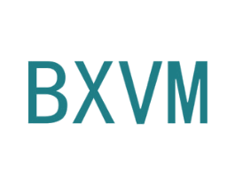 BXVM 第9类科学仪器商标图样
