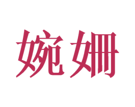 婉姗 第18类皮革箱包商标图样