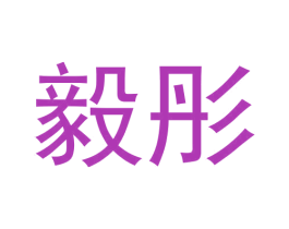 毅彤 第12类运输工具商标图样