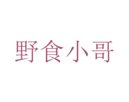 野食小哥 第30类小食配料商标图样