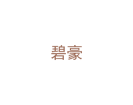 碧豪 第21类厨房洁具商标图样