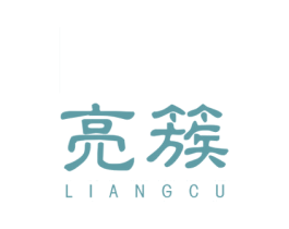 亮簇 第25类服装鞋帽商标图样