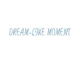 DREAM-LIKE MOMENT 第3类化妆品商标图样