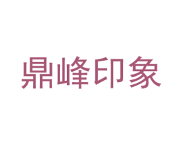 鼎峰印象 第41类教育娱乐商标图样