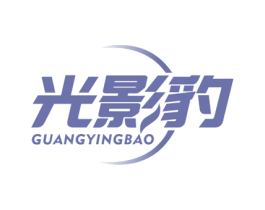 光影豹 第9类科学仪器商标图样