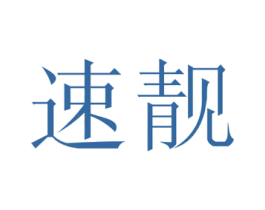 速靓 第9类科学仪器商标图样