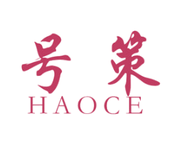 号策 第25类服装鞋帽商标图样