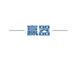 赢器 第27类地毯席垫商标图样