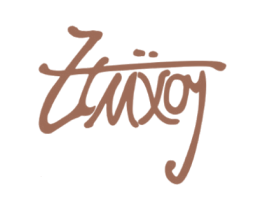 ZTUXOY 第25类服装鞋帽商标图样
