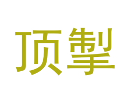 顶掣 第9类科学仪器商标图样