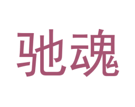 驰魂 第11类家用电器商标图样