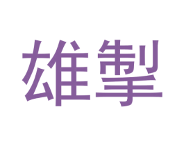 雄掣 第25类服装鞋帽商标图样